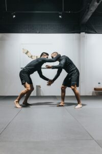 Ukázka MMA zápasníků